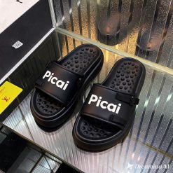 Picai Crystal Clear Slide